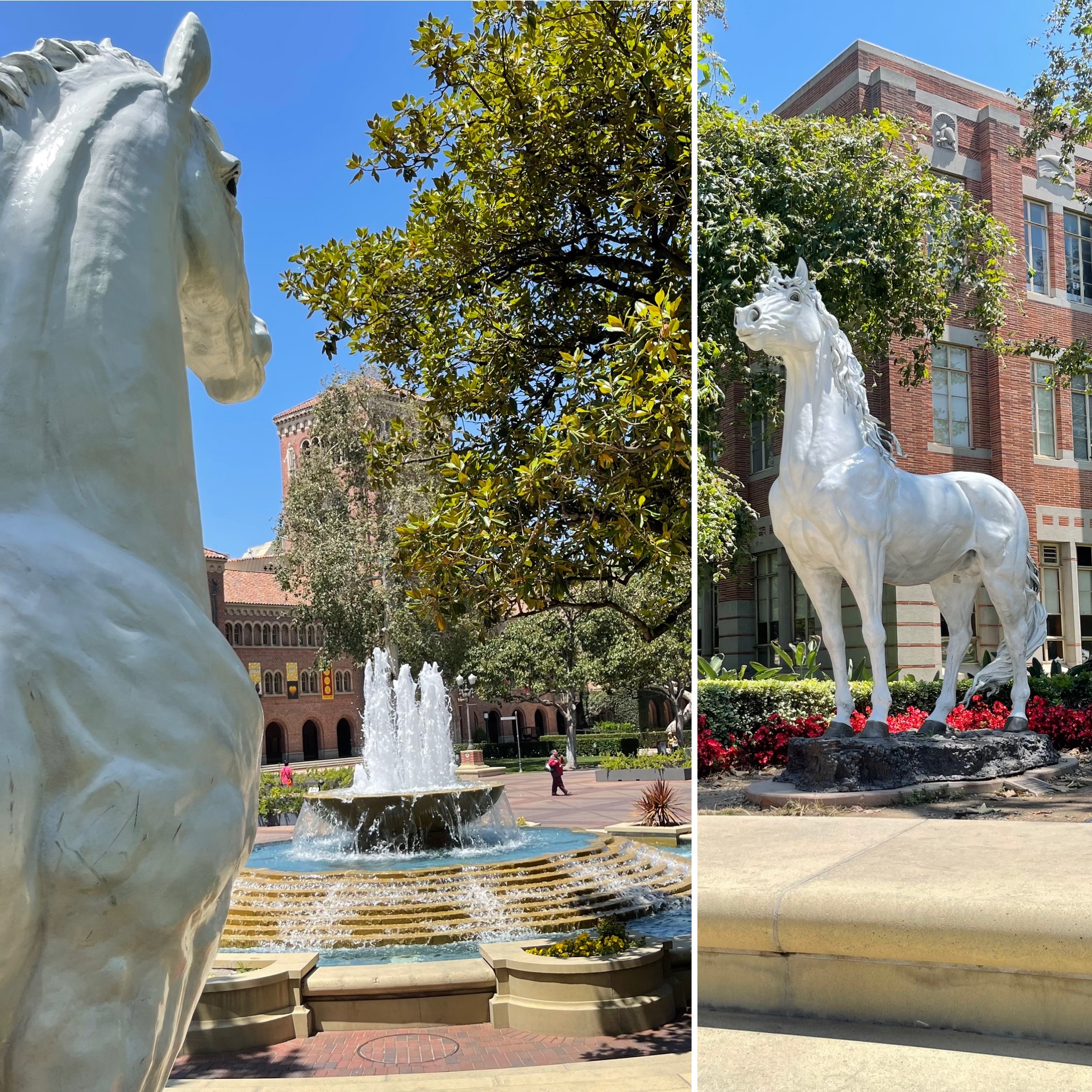 USC Virtual Tour Trojan Horse Statue